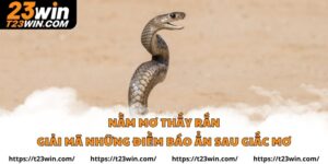 Nằm Mơ Thấy Rắn Giải Mã Những Điềm Báo Ẩn Sau Giấc Mơ